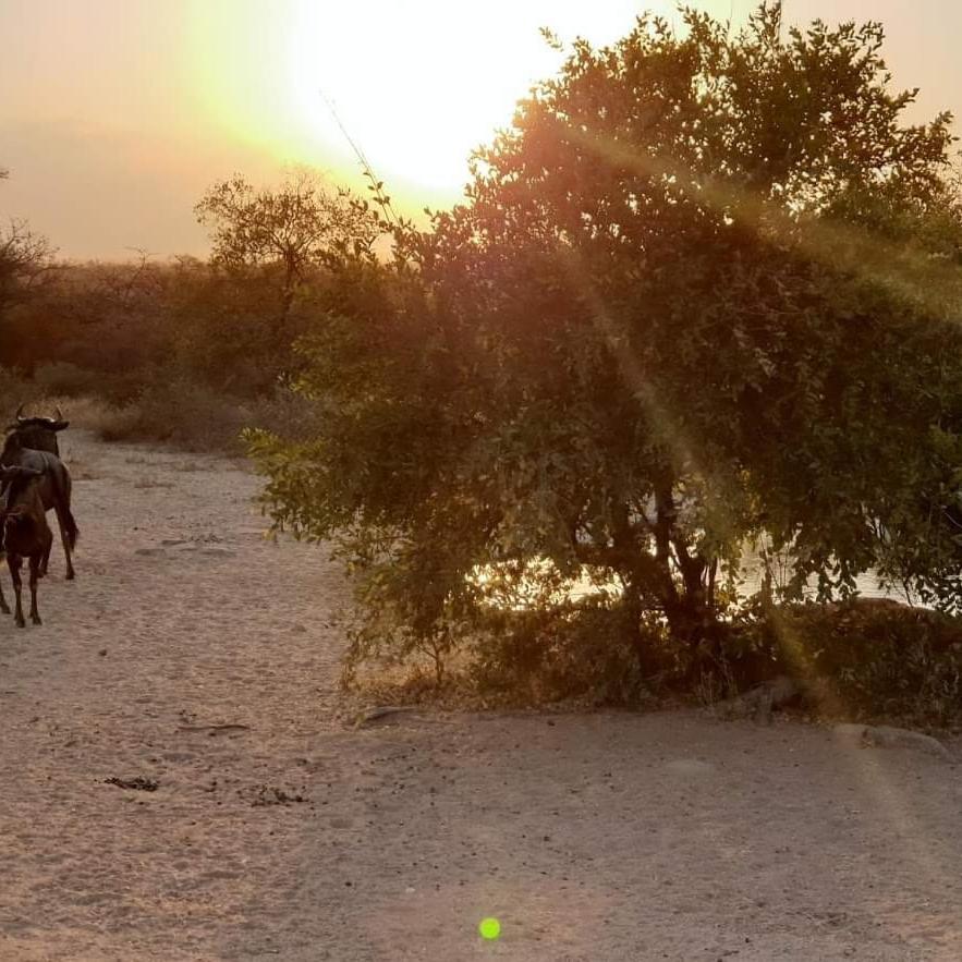 Hotel Kelora Bush Camp Hoedspruit Exteriér fotografie