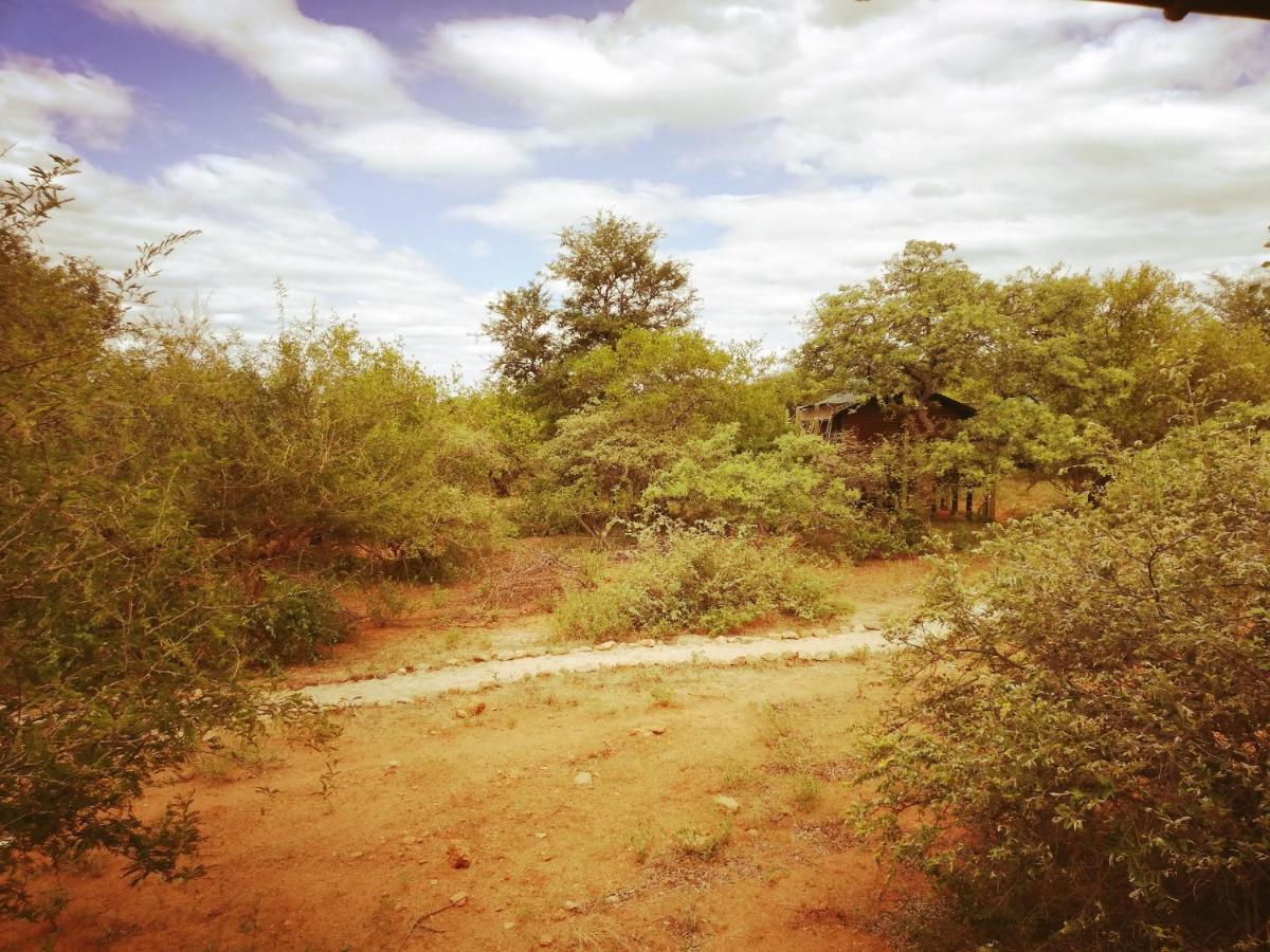 Hotel Kelora Bush Camp Hoedspruit Exteriér fotografie