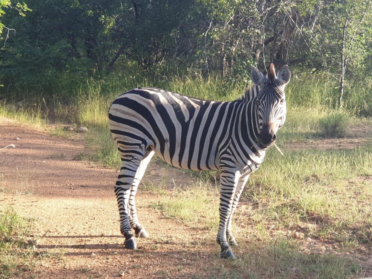 Hotel Kelora Bush Camp Hoedspruit Exteriér fotografie