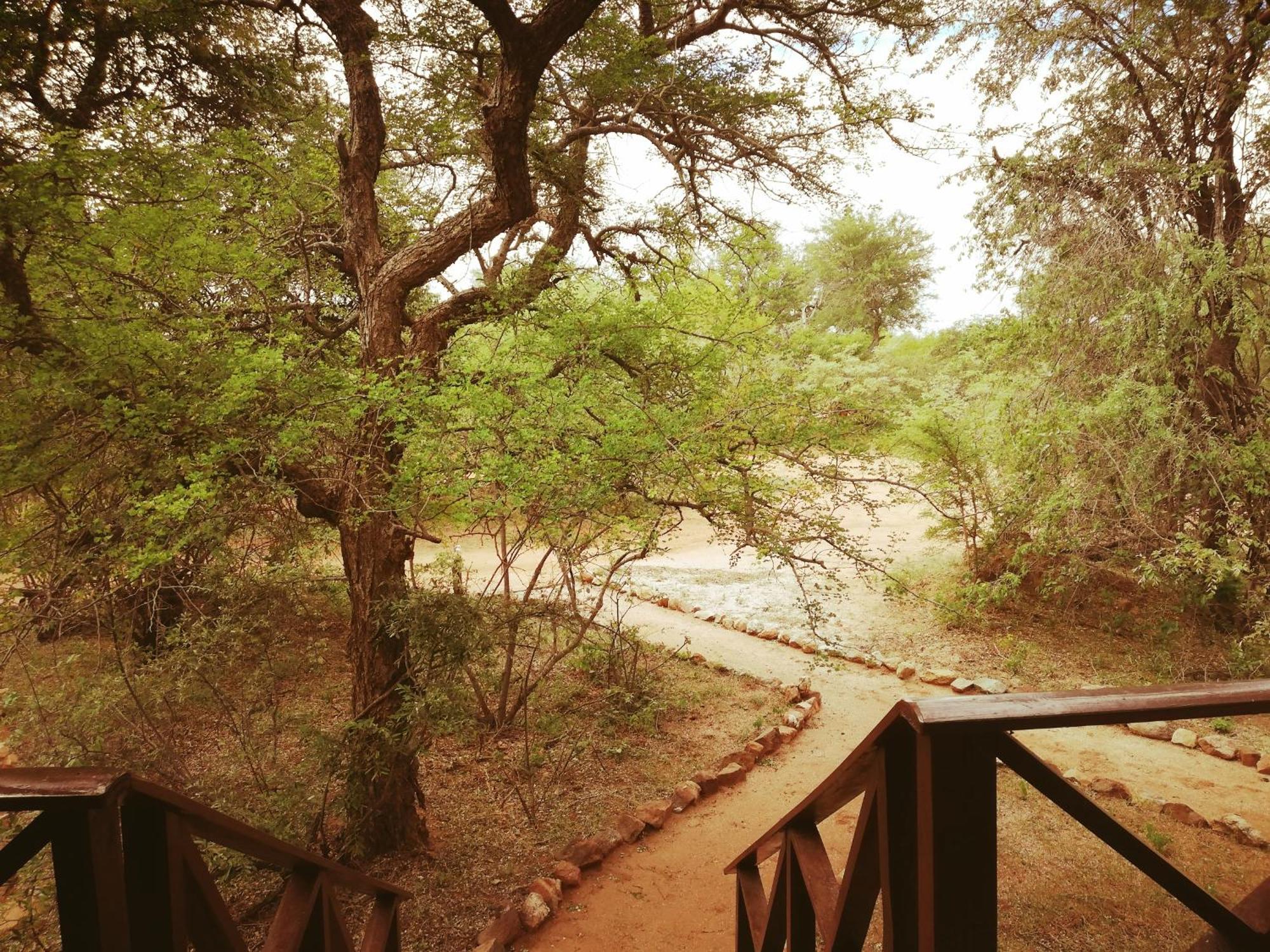 Hotel Kelora Bush Camp Hoedspruit Pokoj fotografie